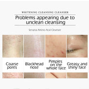 Senana Nicotinamide Amino Acid Facial Cleanser, 60 g