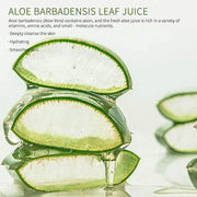 FUJZXANS Aloe Vera Facial Cleansing Mousse, 150 ml