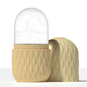 Ice Roller and Stainless Steel Gua Sha Set