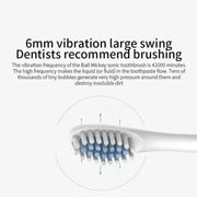 Ultrasonic Electric Toothbrush with 6 Speed Modes