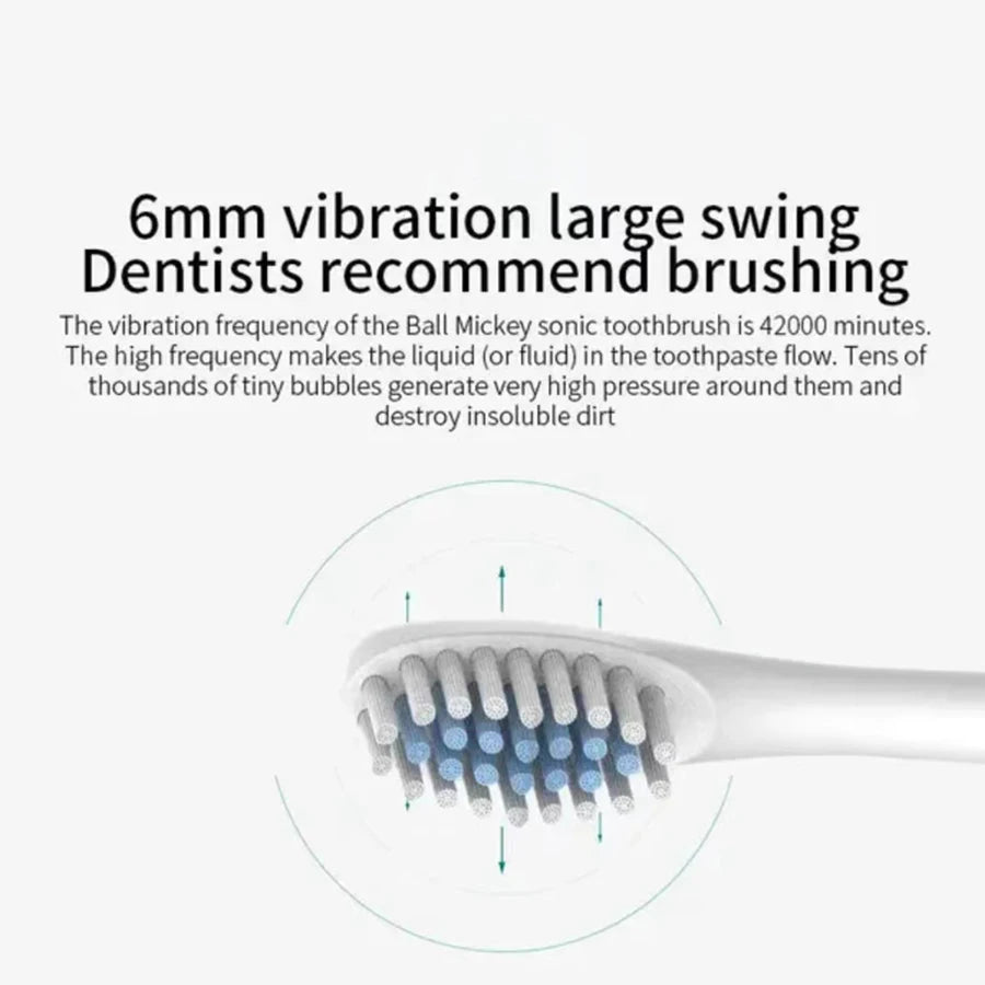 Ultrasonic Electric Toothbrush with 6 Speed Modes