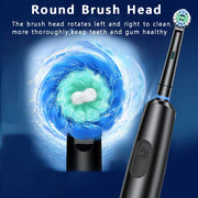 Rechargeable Rotary Electric Toothbrush with Timer and Multiple Modes