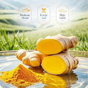 Niacinamide and Turmeric Scrub Shower Gel, 520ml