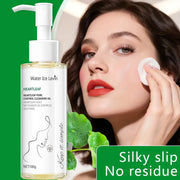 Water Ice Levin Heartleaf Pore Control Cleansing Oil, 100 g