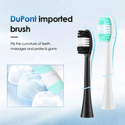 Rechargeable Sonic Electric Toothbrush with 6 Modes