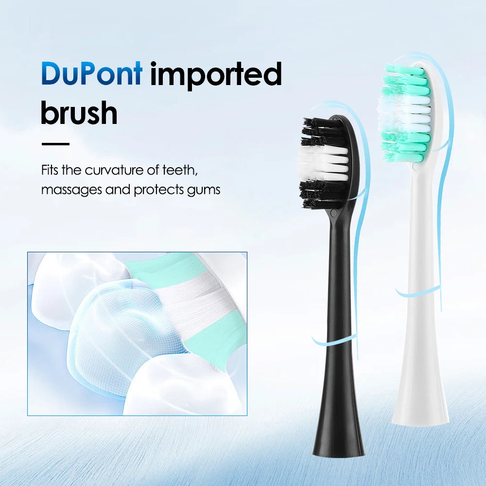 Rechargeable Sonic Electric Toothbrush with 6 Modes