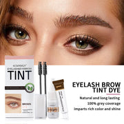 ICONSIGN Eyelash and Eyebrow Tint Kit